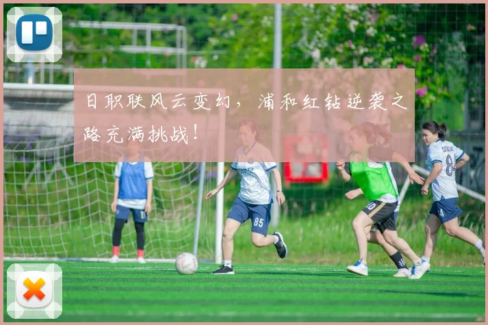 日职联风云变幻，浦和红钻逆袭之路充满挑战！