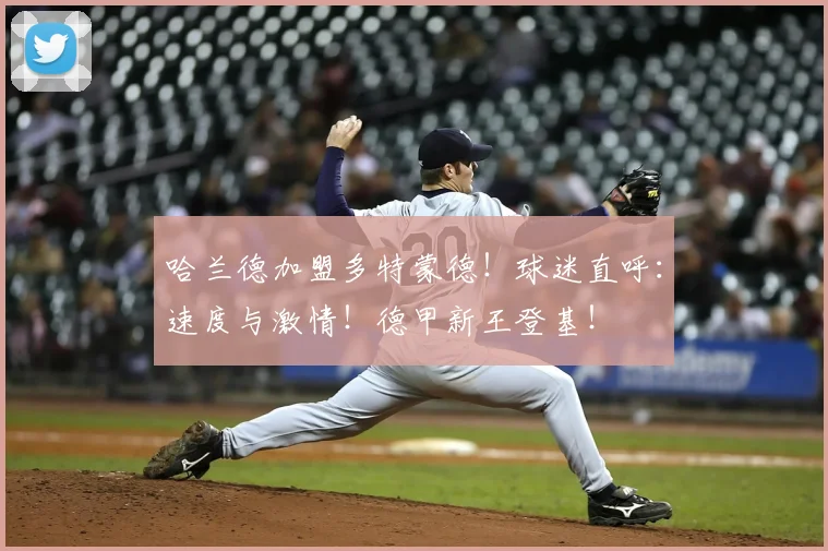 哈兰德加盟多特蒙德！球迷直呼：速度与激情！德甲新王登基！
