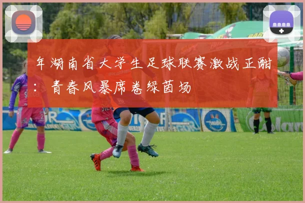 年湖南省大学生足球联赛激战正酣：青春风暴席卷绿茵场