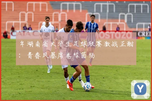 年湖南省大学生足球联赛激战正酣：青春风暴席卷绿茵场